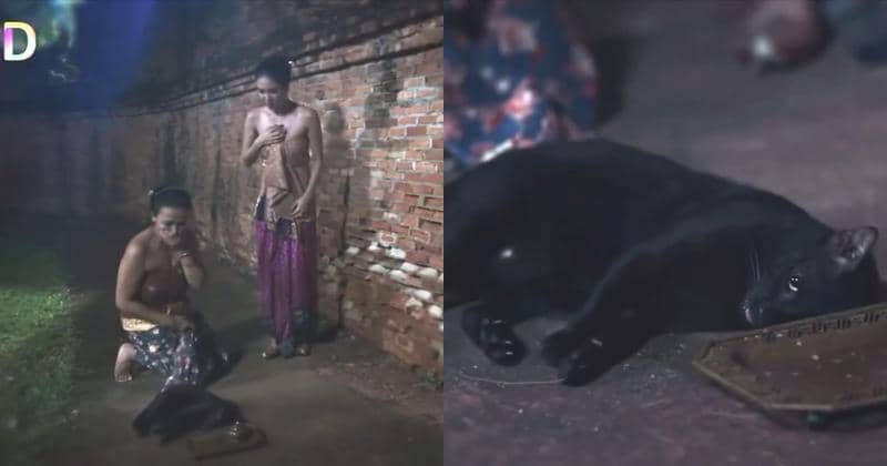 x.com/TifFaNy_9member